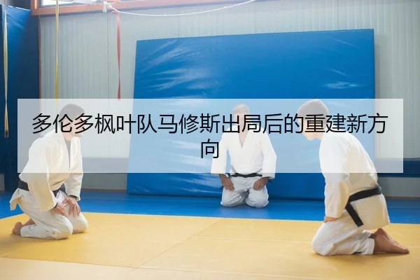 多伦多枫叶队马修斯出局后的重建新方向